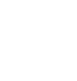 Vector